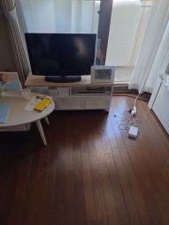 テレビ