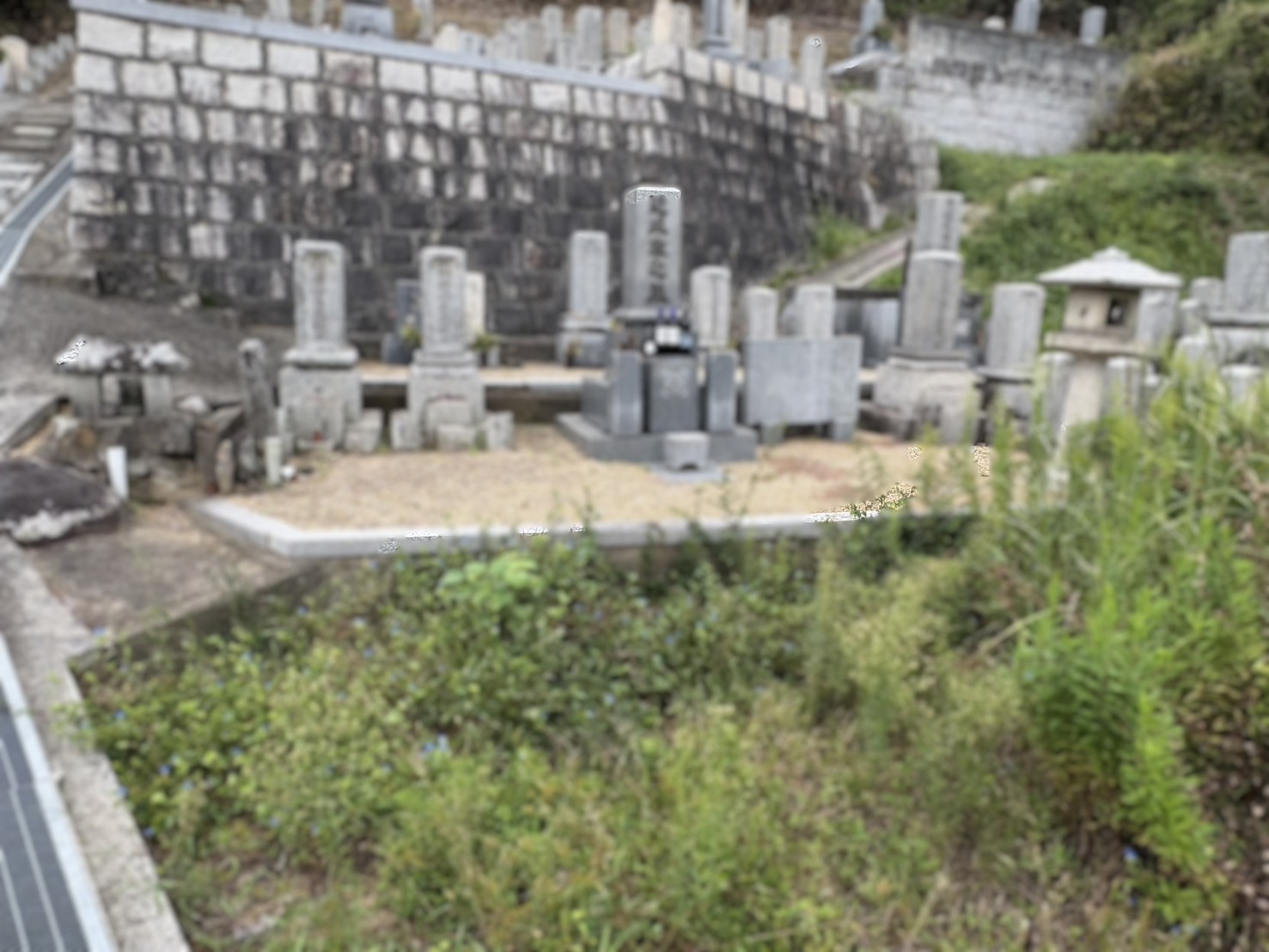 ギャラリー画像 1