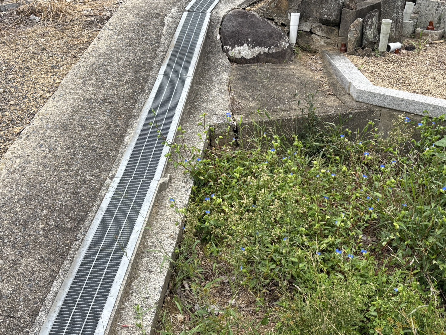 ギャラリー画像 5