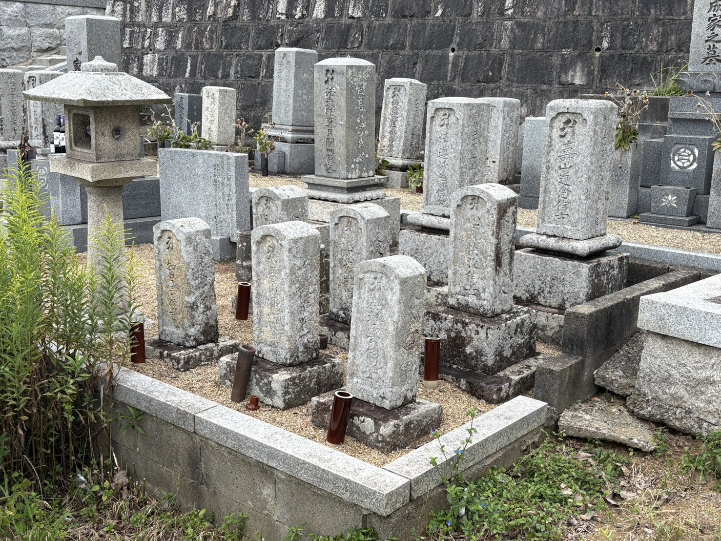 ギャラリー画像 3