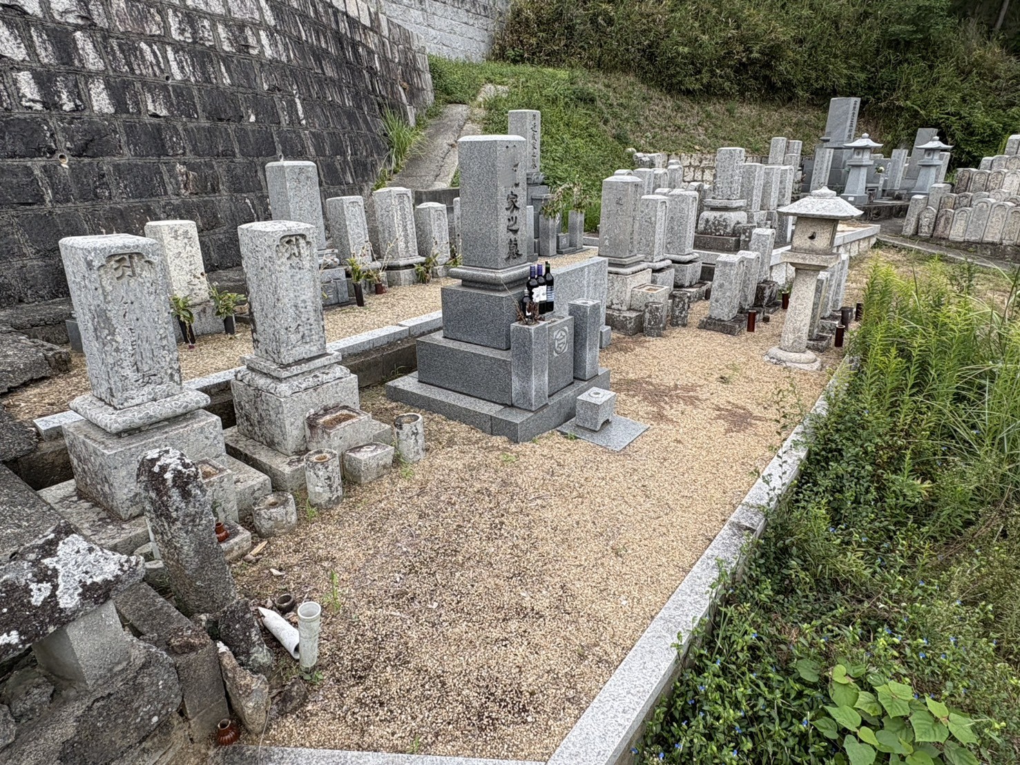 ギャラリー画像 2