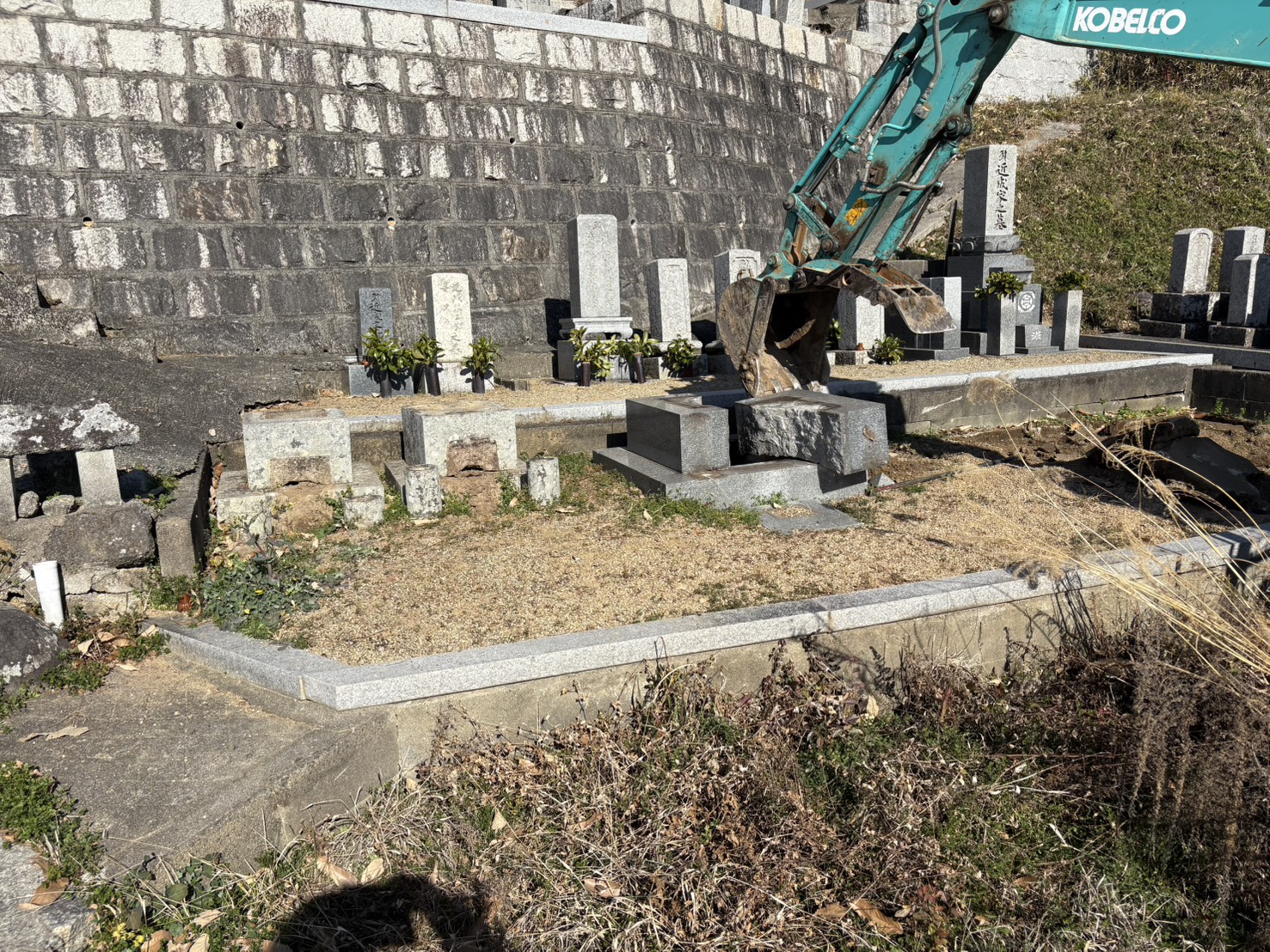 ギャラリー画像 1