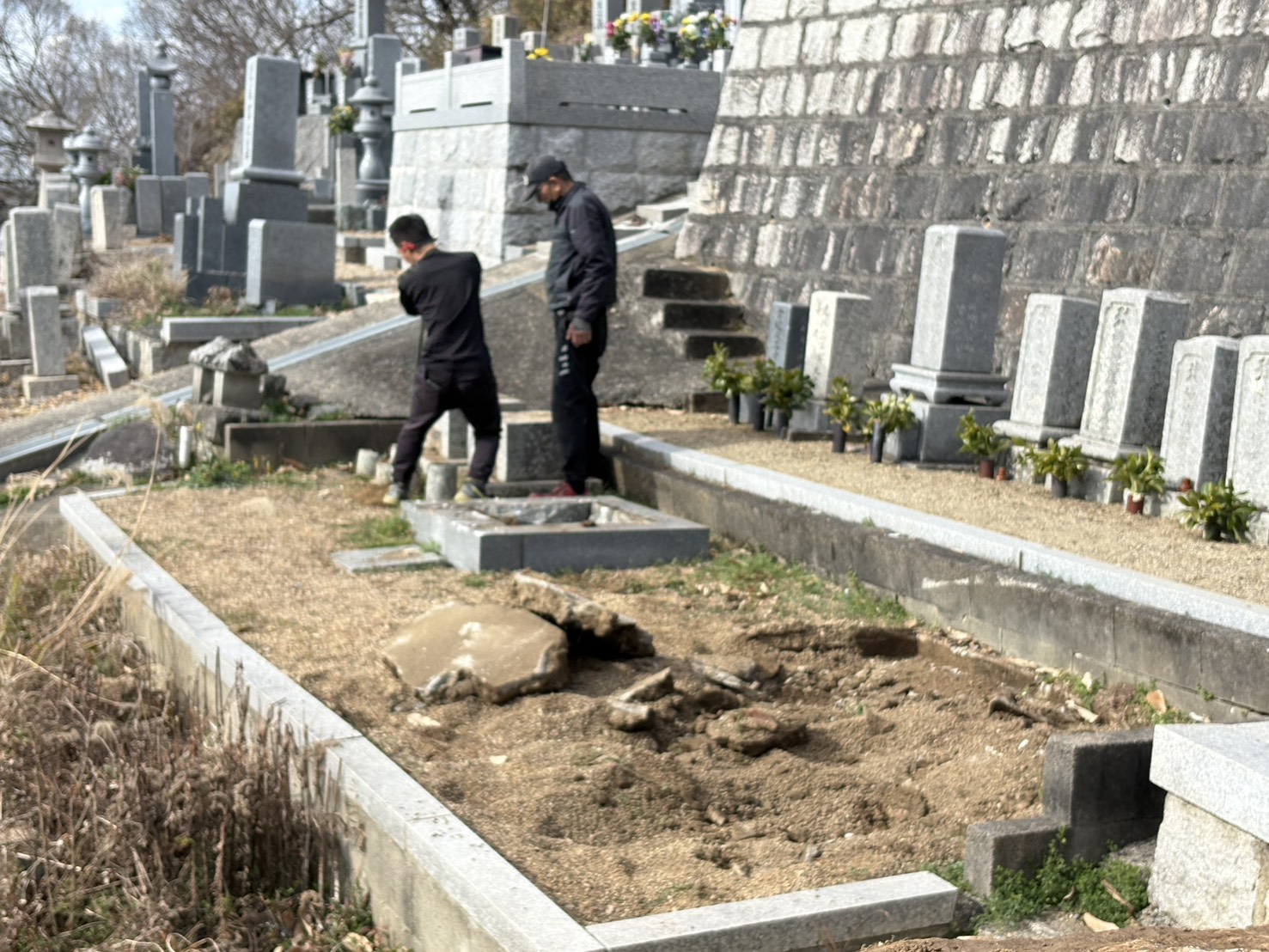 ギャラリー画像 2