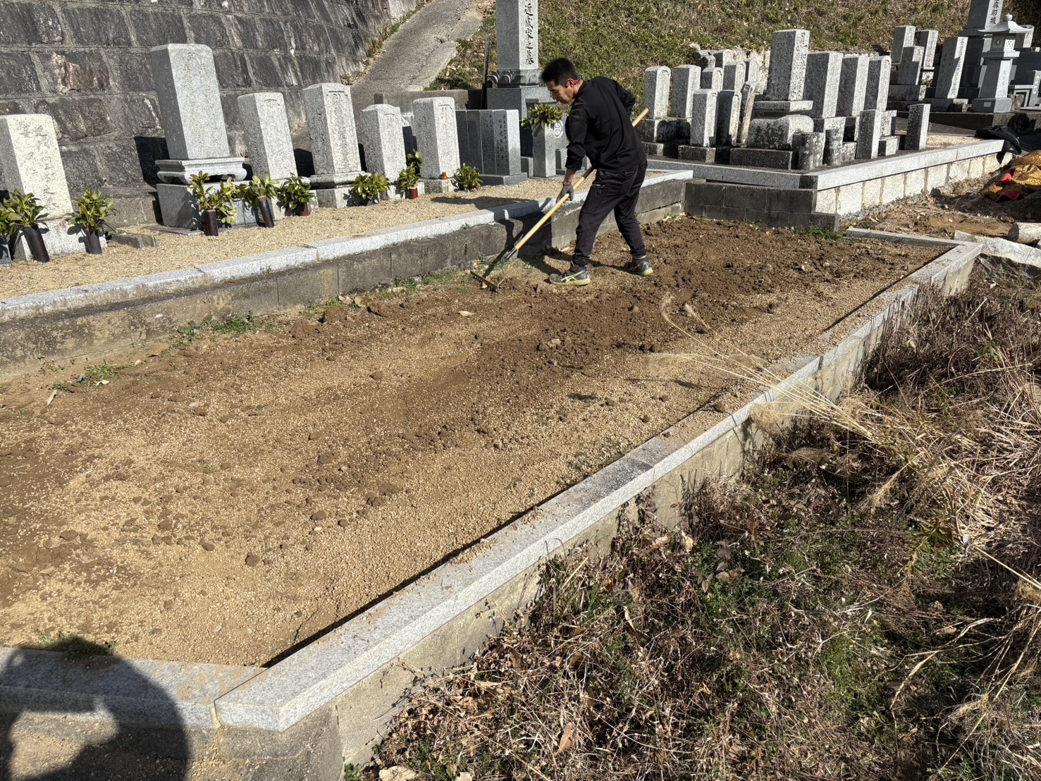 ギャラリー画像 3