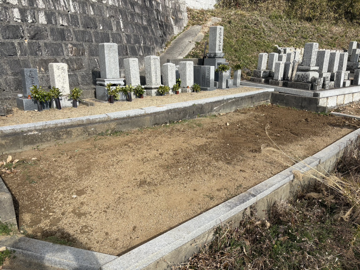 ギャラリー画像 5