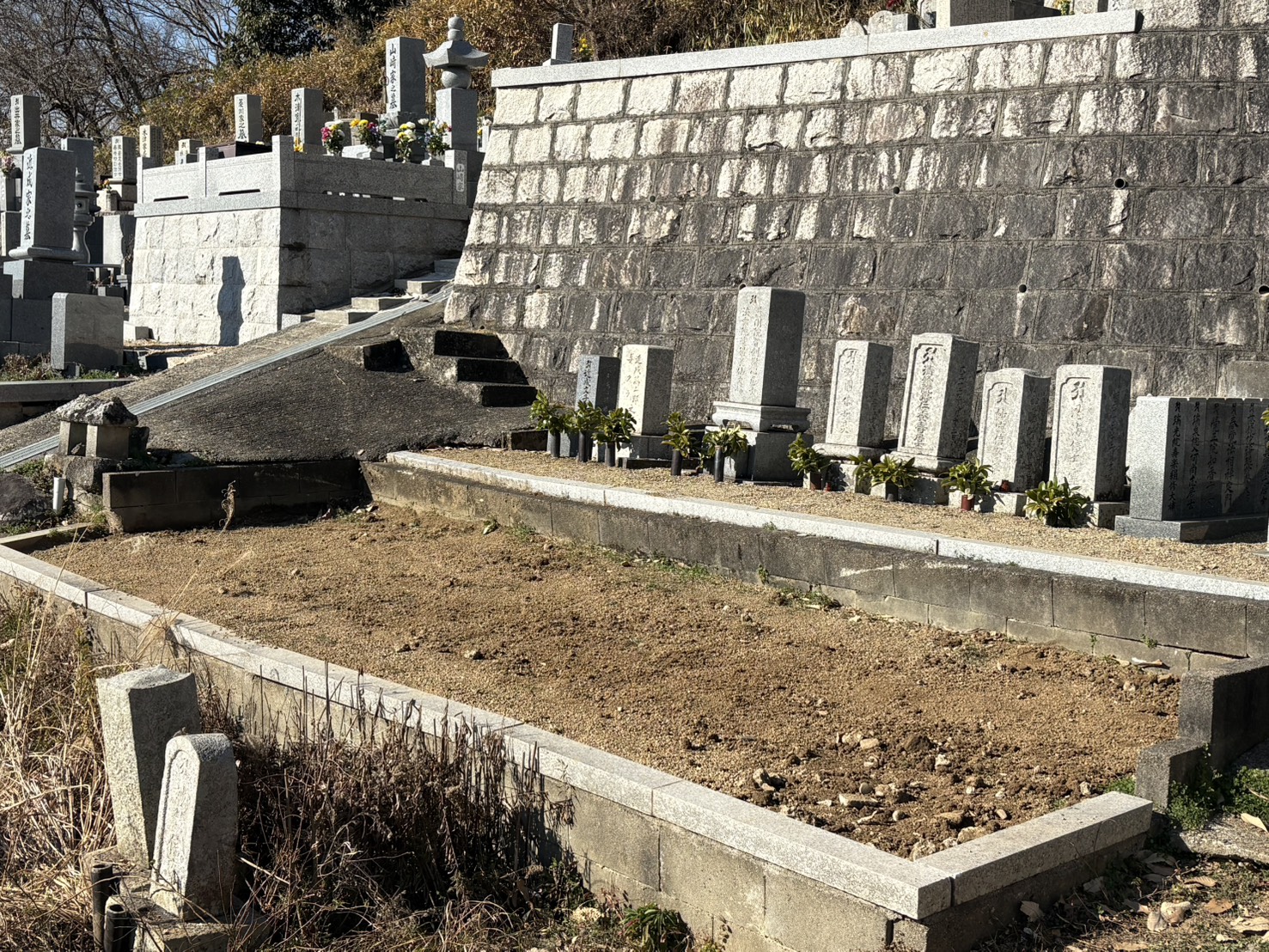 ギャラリー画像 4