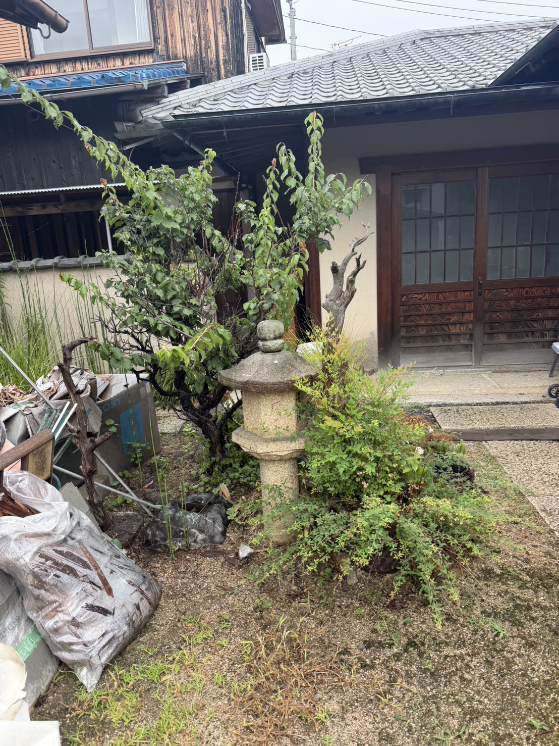倉敷市で撤去前の庭石と灯籠と植木が残っている庭