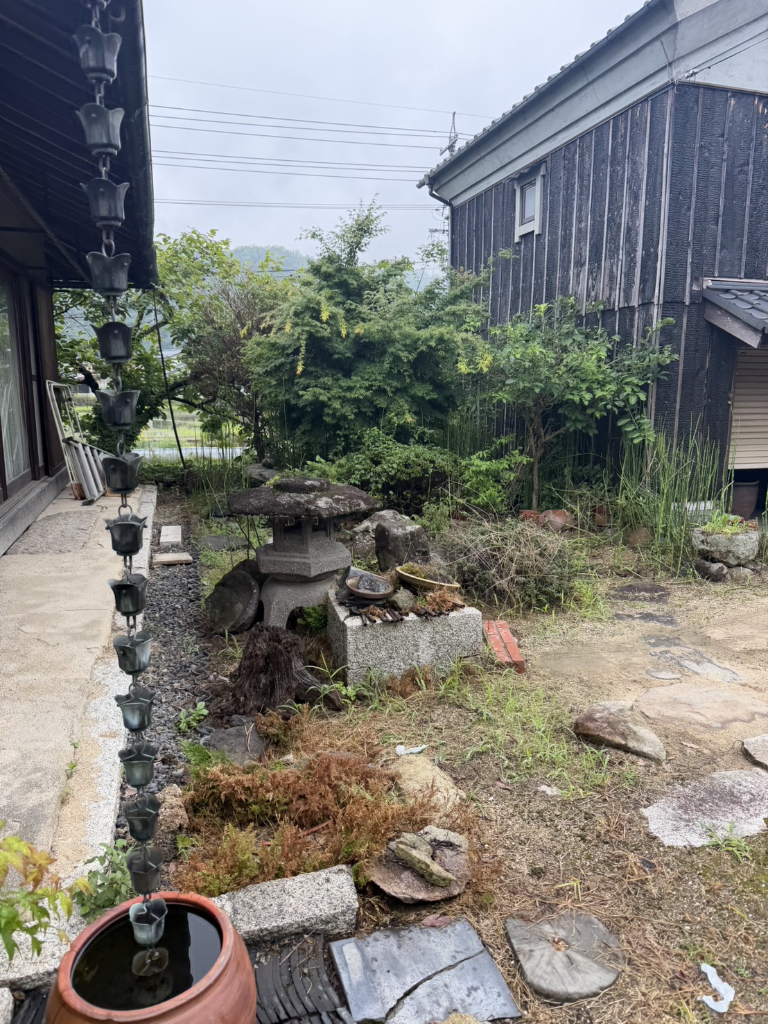 倉敷市で植木と雑草が伸びて管理しにくくなった庭