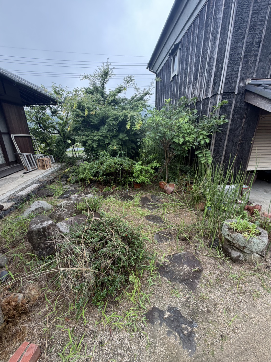 倉敷市で庭石・灯籠・植木・雑草が残っていた庭じまい前の庭