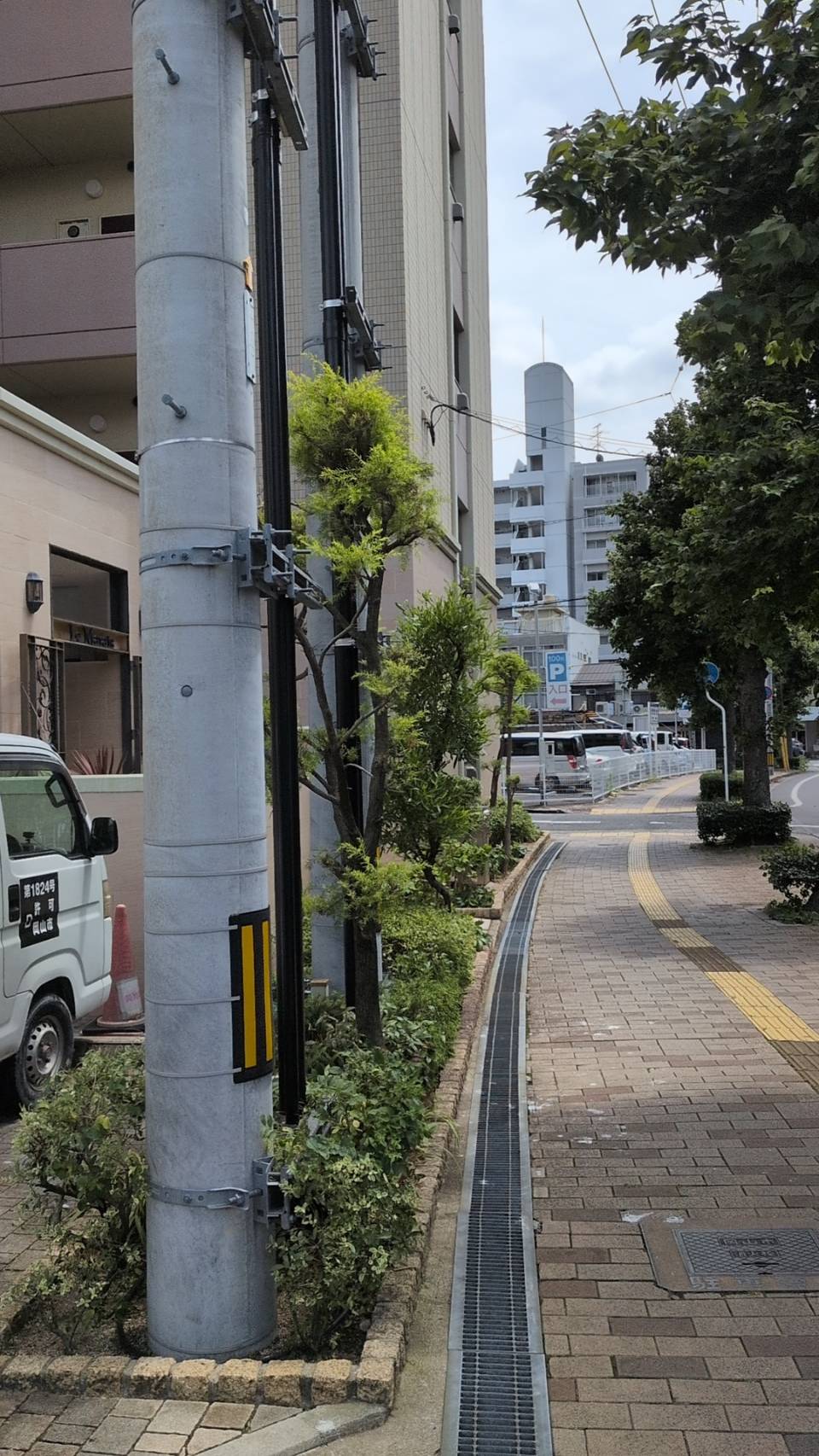 歩道沿いの庭木剪定後