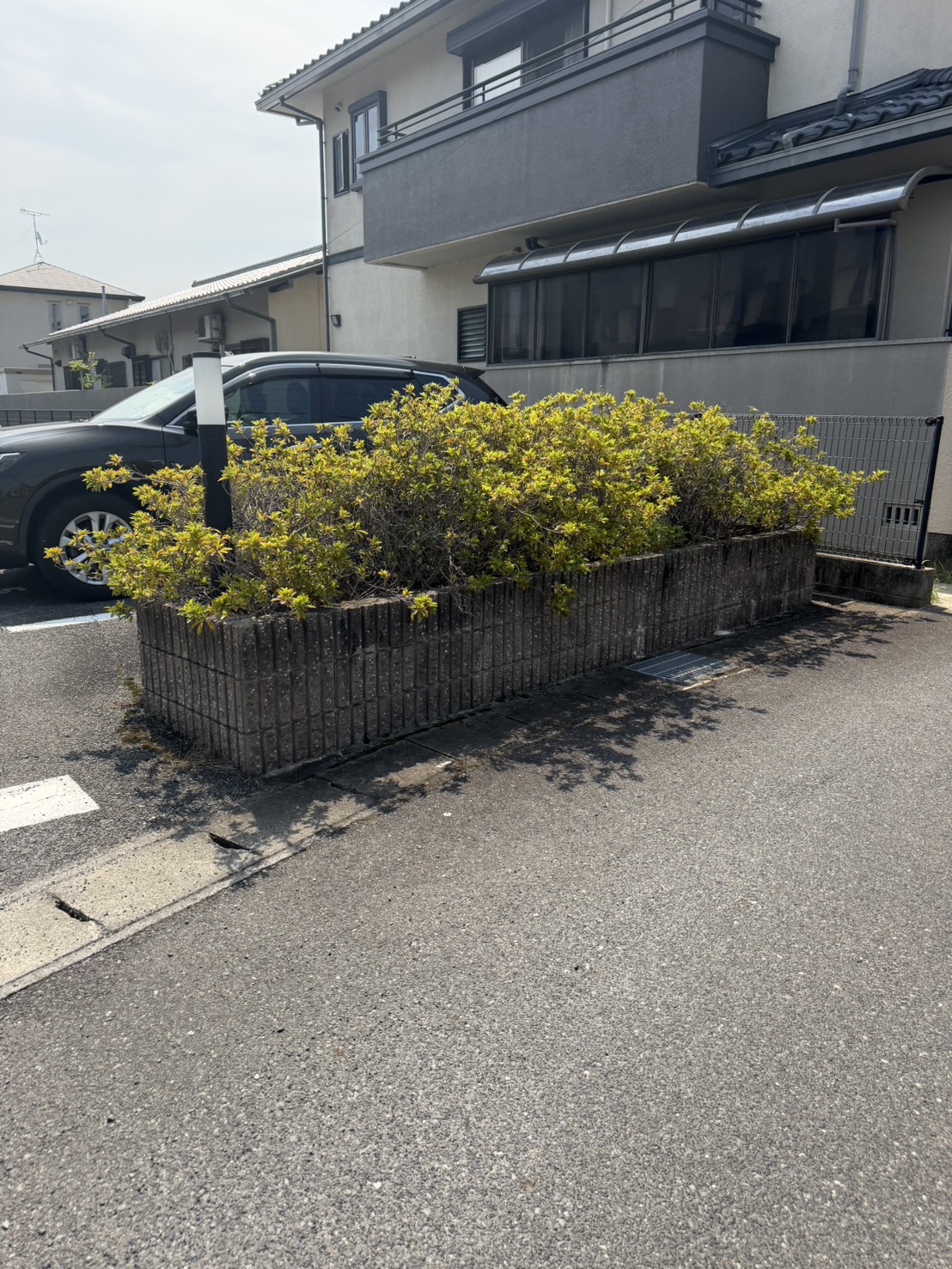 植込み剪定前の正面角度