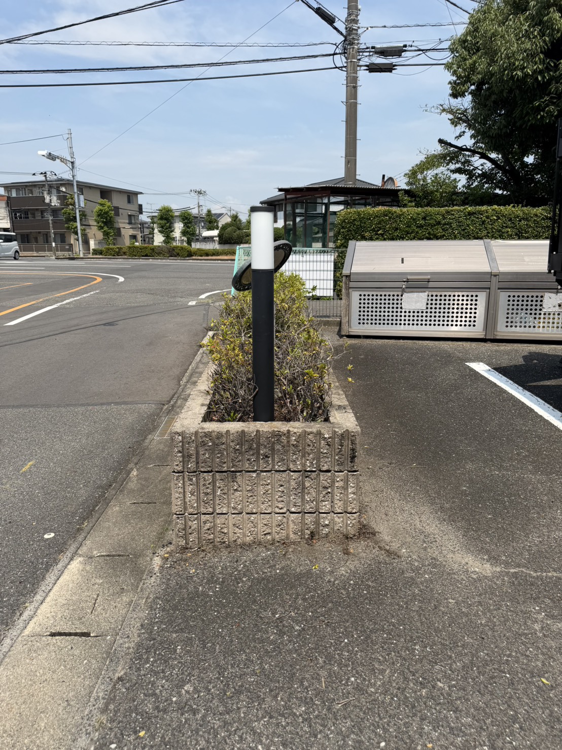 道路沿いの植込み剪定後