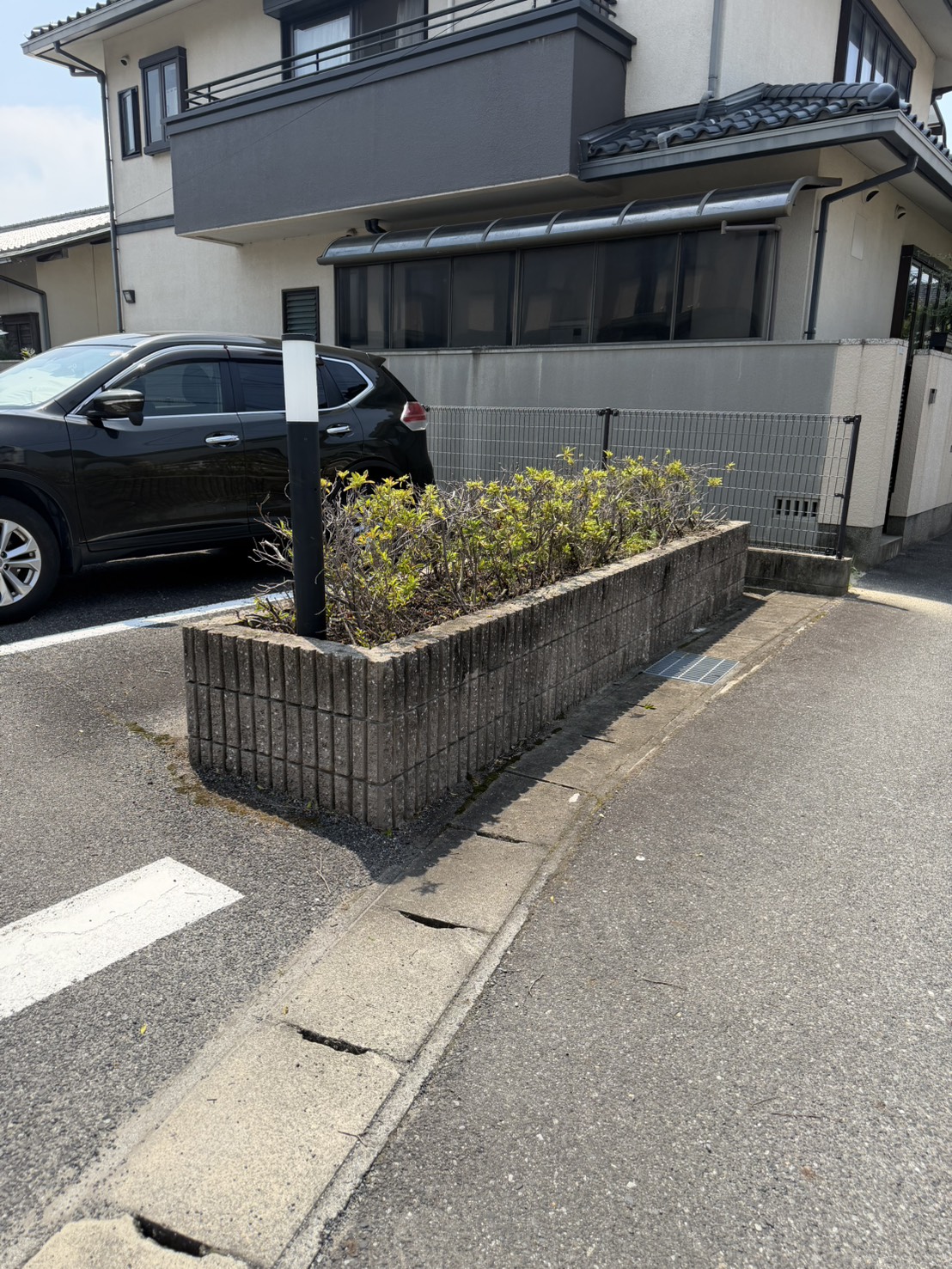 植込み剪定後の正面角度