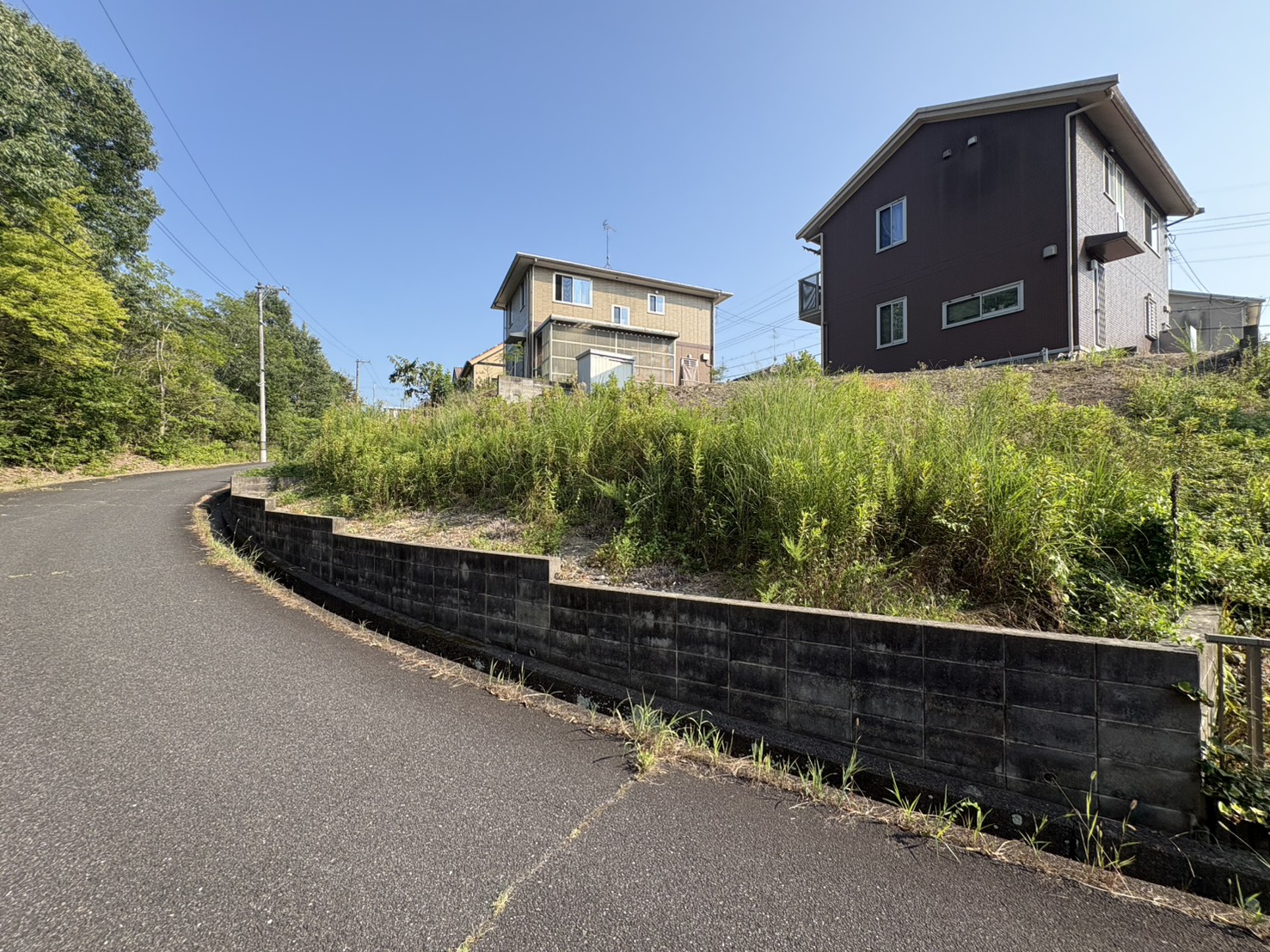 赤磐市の住宅裏にある約140㎡の傾斜地に雑草が伸びている草刈り前の様子
